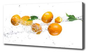 Foto obraz na plátne Pomaranče a voda oc-63072139