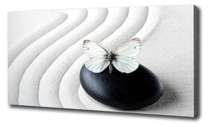 Foto obraz na plátne Kameň zen a motýľ oc-62915953