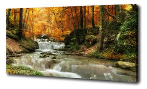 Foto obraz na plátne Vodopád v lese oc-64421594