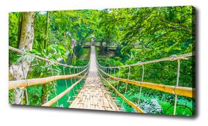 Foto obraz na plátne Most bambusový les oc-64435231