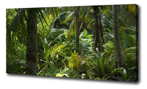 Foto obraz na plátne Tropický les oc-65033935