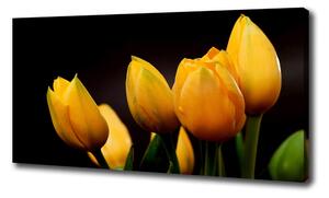 Foto obraz na plátne Žlté tulipány oc-64836622