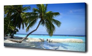 Foto obraz na plátne Tropická pláž oc-64894239
