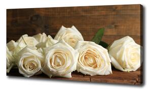 Foto obraz na plátne Biele ruže oc-65934277