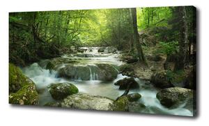 Foto obraz na plátne Vodopád v lese oc-65985516
