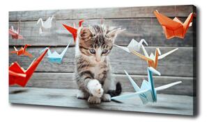 Foto obraz na plátne Mačka vtáky z papiera oc-66724934