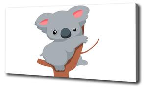 Foto obraz na plátne Koala na strome oc-66617317