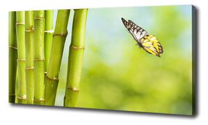 Foto obraz na plátne Bambus a motýľ oc-69817087