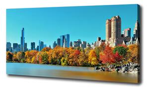 Foto obraz na plátne New York jeseň oc-70676089