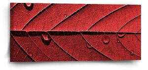 Sablio Obraz Červený list - 110x50 cm