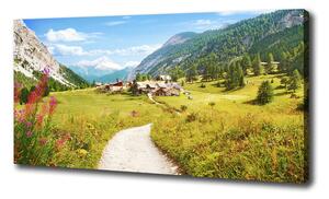 Foto obraz na plátne Pasienok v Alpách oc-73408586