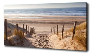Foto obraz na plátne Morské duny oc-75901490