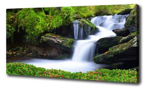 Foto obraz na plátne Vodopád v lese oc-76241598