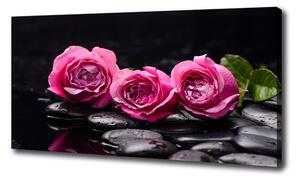 Foto obraz na plátne do obývačky Ružové ruže