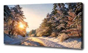 Foto obraz na plátne Cesta v lese zima oc-77332313