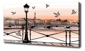 Foto obraz na plátne Súmrak v Paríži oc-77436218