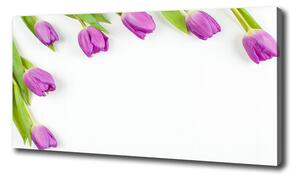 Moderný fotoobraz canvas na ráme Fialové tulipány