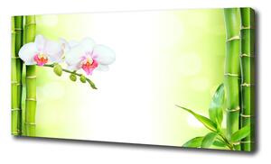 Foto obraz na plátne Orchidea a bambus oc-82165838