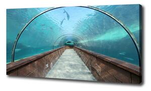 Foto obraz na plátne Tunel akvárium oc-82197217