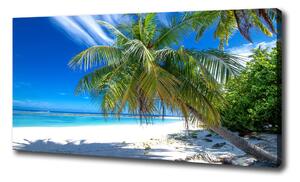Foto obraz na plátne Tropická pláž oc-82585815