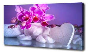 Foto obraz canvas Orchidea a srdce oc-82482729