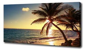 Foto obraz na plátne Tropická pláž oc-83274893