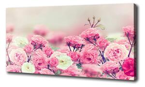 Moderný fotoobraz canvas na ráme Kvety divokej ruže