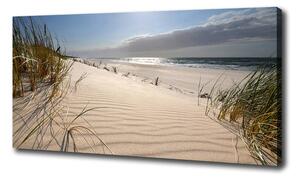 Foto obraz na plátne Mřežino pláž oc-84989686