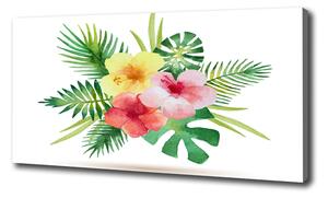 Foto obraz na plátne Havajské kvety oc-85139888