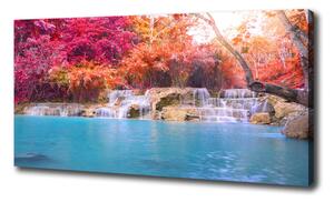 Foto obraz na plátne Vodopád v lese oc-85305584