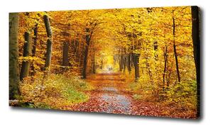 Foto obraz na plátne Jesenný les oc-86844242
