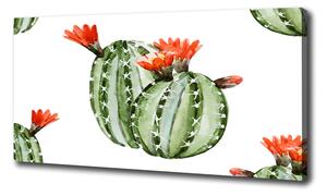 Foto obraz na plátne Kaktusy oc-86911813