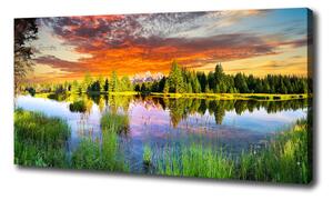 Moderný fotoobraz canvas na ráme Rieka v lese oc-89317009