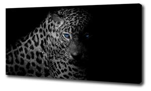 Foto obraz na plátne Leopard oc-89549218