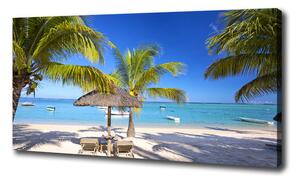 Foto obraz na plátne do obývačky Pláž Mauritius