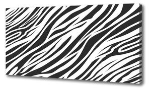 Foto obraz canvas Zebra pozadia oc-89914611