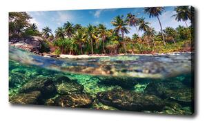 Foto obraz na plátne Tropická pláž oc-90407162