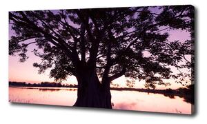 Moderný obraz canvas na ráme Stromy a jezero oc-90878216