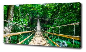 Foto obraz na plátne Most tropický les oc-94521444