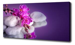 Foto obraz na plátne do obývačky Orchidea oc-95985496