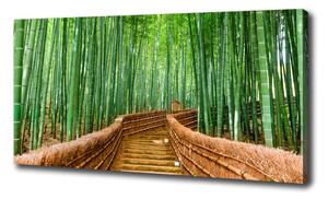 Moderný fotoobraz canvas na ráme Bambusový les