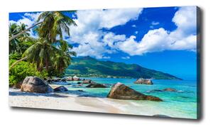 Foto obraz na plátne Seychely pláž oc-98176668