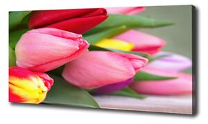 Foto obraz na plátne Farebné tulipány oc-98761222