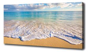 Foto obraz na plátne Havajská pláž oc-98746021