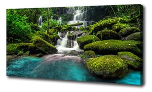 Foto obraz na plátne Vodopád v džungli oc-99201253