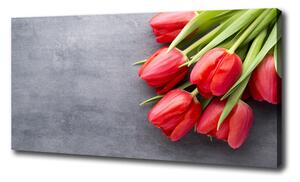 Foto obraz na plátne Červene tulipány oc-99719823