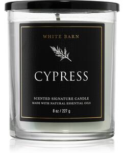 Bath & Body Works Cypress vonná sviečka 227 g