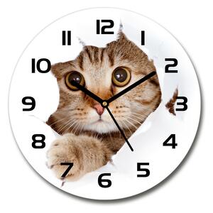 Sklenené nástenné hodiny okrúhle Mačka