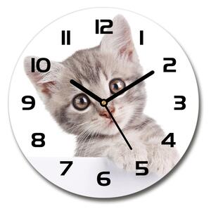 Sklenené hodiny okrúhle Sivá mačka