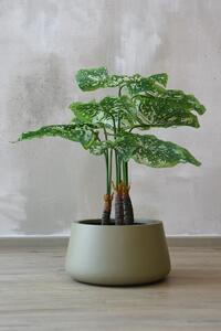 Kvetináč GORDO, sklolaminát, výška 21 cm, béžový